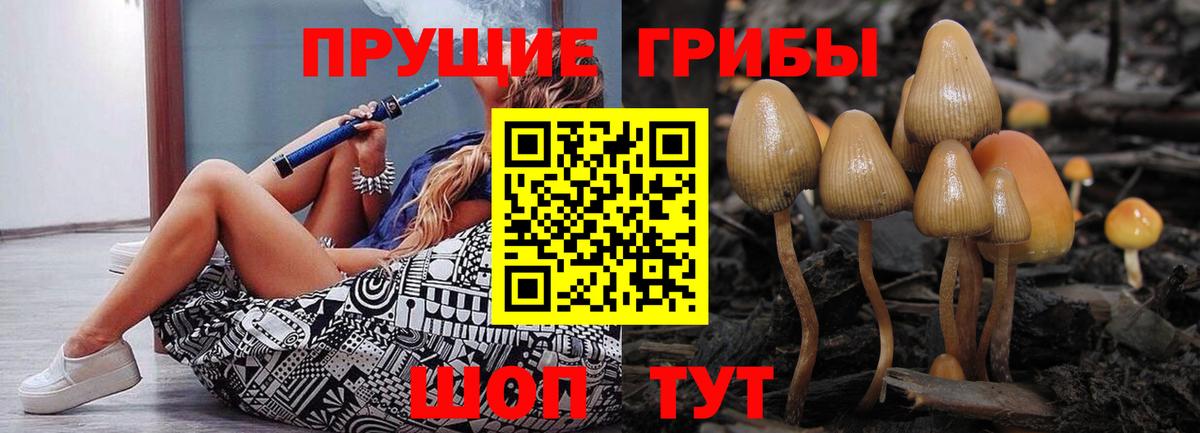 Псилоцибиновые грибы MAGIC MUSHROOMS Ишим